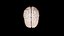 Brain model
