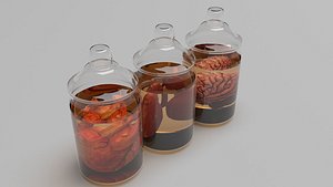 3D model Vintage Organ Jars