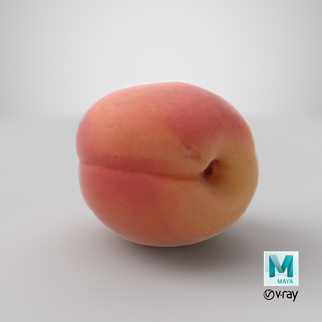 3D apricot small 02 model - TurboSquid 1433513