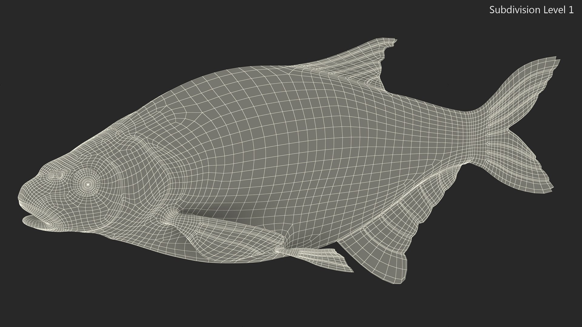 Silver Bream Fish Rigged 3D model https://p.turbosquid.com/ts-thumb/np/Y89dRX/8X/silverbreamfishriggedc4dmodel029/jpg/1700719575/1920x1080/fit_q87/267f5017f91d795880c8a053d4046fb77fa6278f/silverbreamfishriggedc4dmodel029.jpg