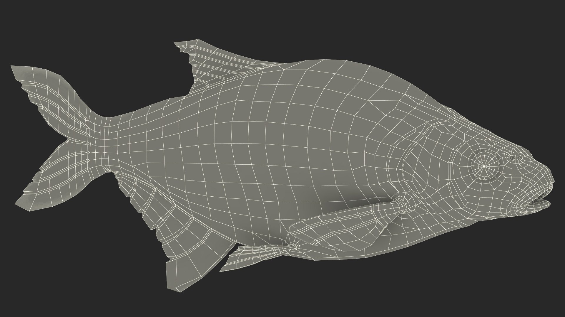 Silver Bream Fish Rigged 3D model https://p.turbosquid.com/ts-thumb/np/Y89dRX/mV/silverbreamfishriggedc4dmodel034/jpg/1700719594/1920x1080/fit_q87/9cc6de3c01290287a0a29d45ac94d16af4196705/silverbreamfishriggedc4dmodel034.jpg