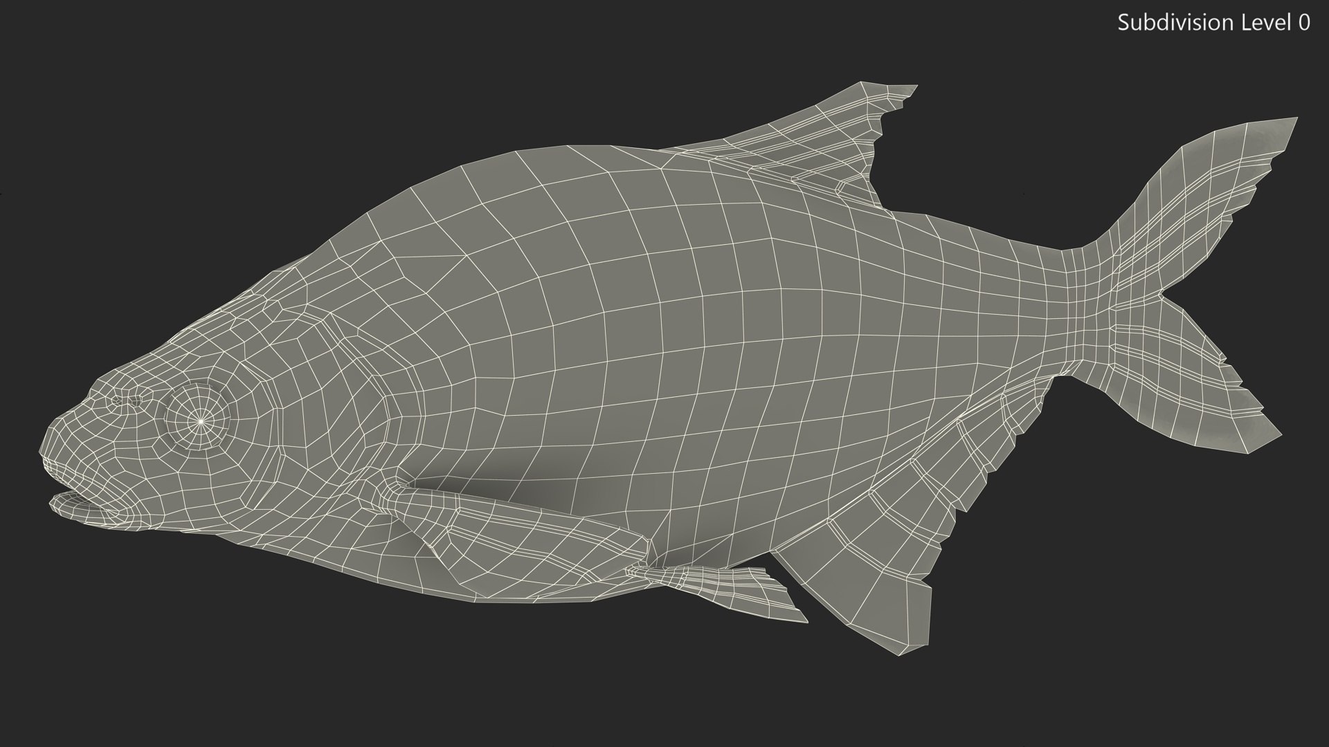Silver Bream Fish Rigged 3D model https://p.turbosquid.com/ts-thumb/np/Y89dRX/uf/silverbreamfishriggedc4dmodel028/jpg/1700719571/1920x1080/fit_q87/4157b62f15870dc1a696477e5a4606ba9e6de19c/silverbreamfishriggedc4dmodel028.jpg