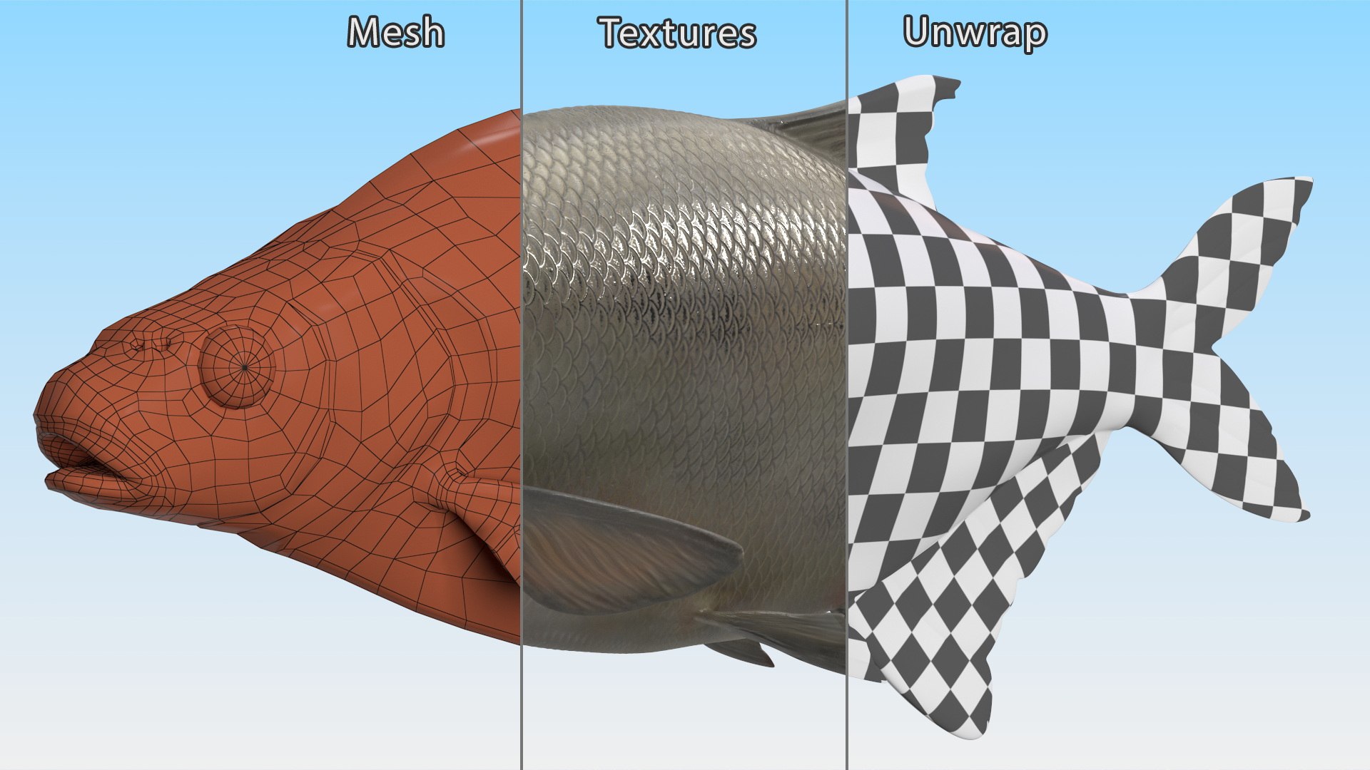 Silver Bream Fish Rigged 3D model https://p.turbosquid.com/ts-thumb/np/Y89dRX/yY/silverbreamfishriggedc4dmodel027/jpg/1700719566/1920x1080/fit_q87/de7470bc163f7782cba06997892162077d2daa84/silverbreamfishriggedc4dmodel027.jpg