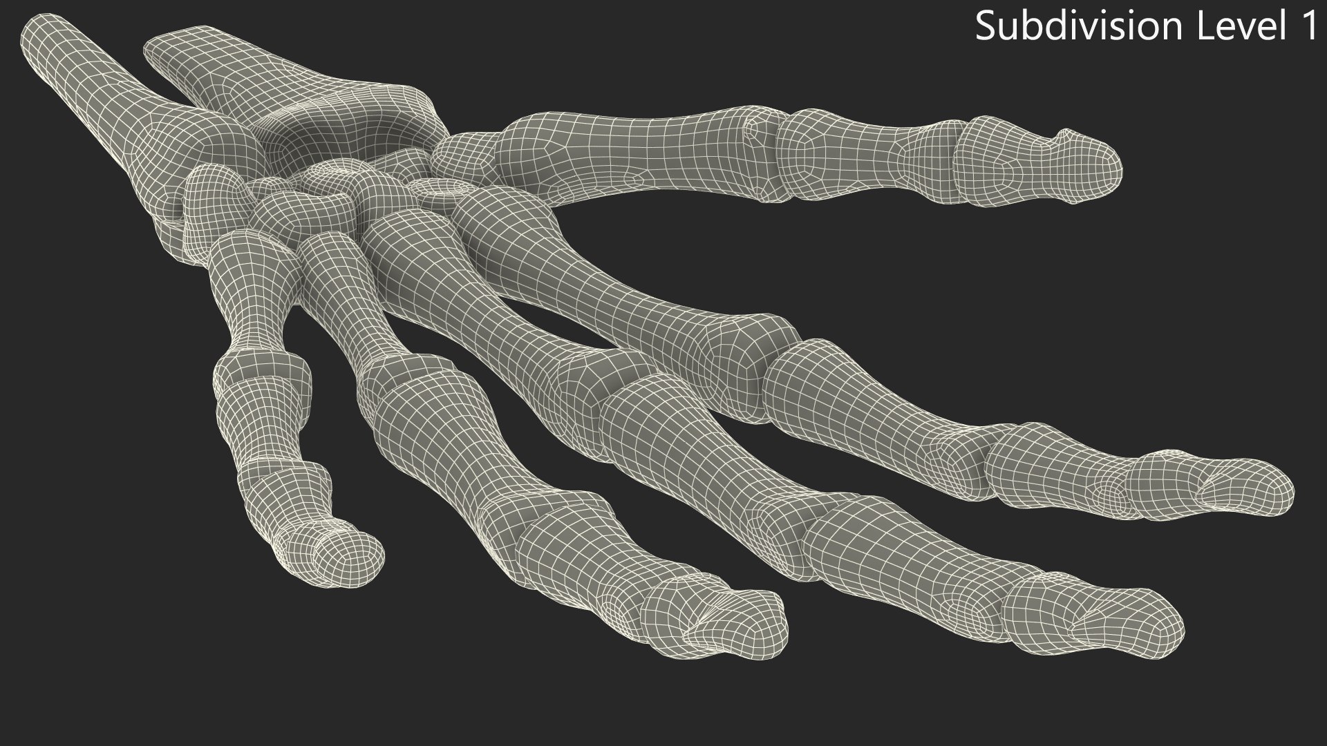 3D model Human Hand Skeleton https://p.turbosquid.com/ts-thumb/np/d0C34t/r8/human_hand_skeleton_010/jpg/1753643459/1920x1080/fit_q87/1c176a96b9c00fbfb7d9013ae9896261ec6b93d1/human_hand_skeleton_010.jpg