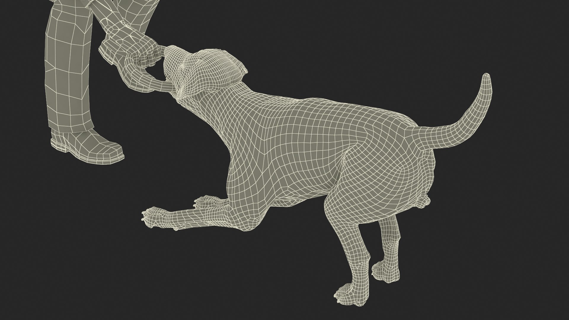 Man Playing with Dog 3D model https://p.turbosquid.com/ts-thumb/np/q9vcUS/Cy/manplayingwithdogmb3dmodel029/jpg/1725559427/1920x1080/fit_q87/5daa55b456809e45f1181b9fe1d424fec1416d47/manplayingwithdogmb3dmodel029.jpg