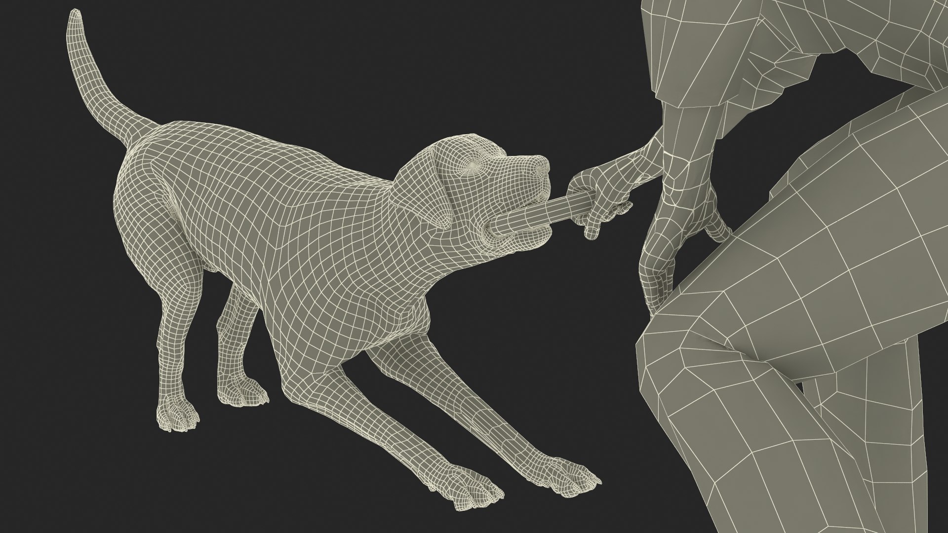 Man Playing with Dog 3D model https://p.turbosquid.com/ts-thumb/np/q9vcUS/O5/manplayingwithdogmb3dmodel031/jpg/1725559437/1920x1080/fit_q87/66a571903f70529a585ca6d1f42489f2c4ff1b1d/manplayingwithdogmb3dmodel031.jpg