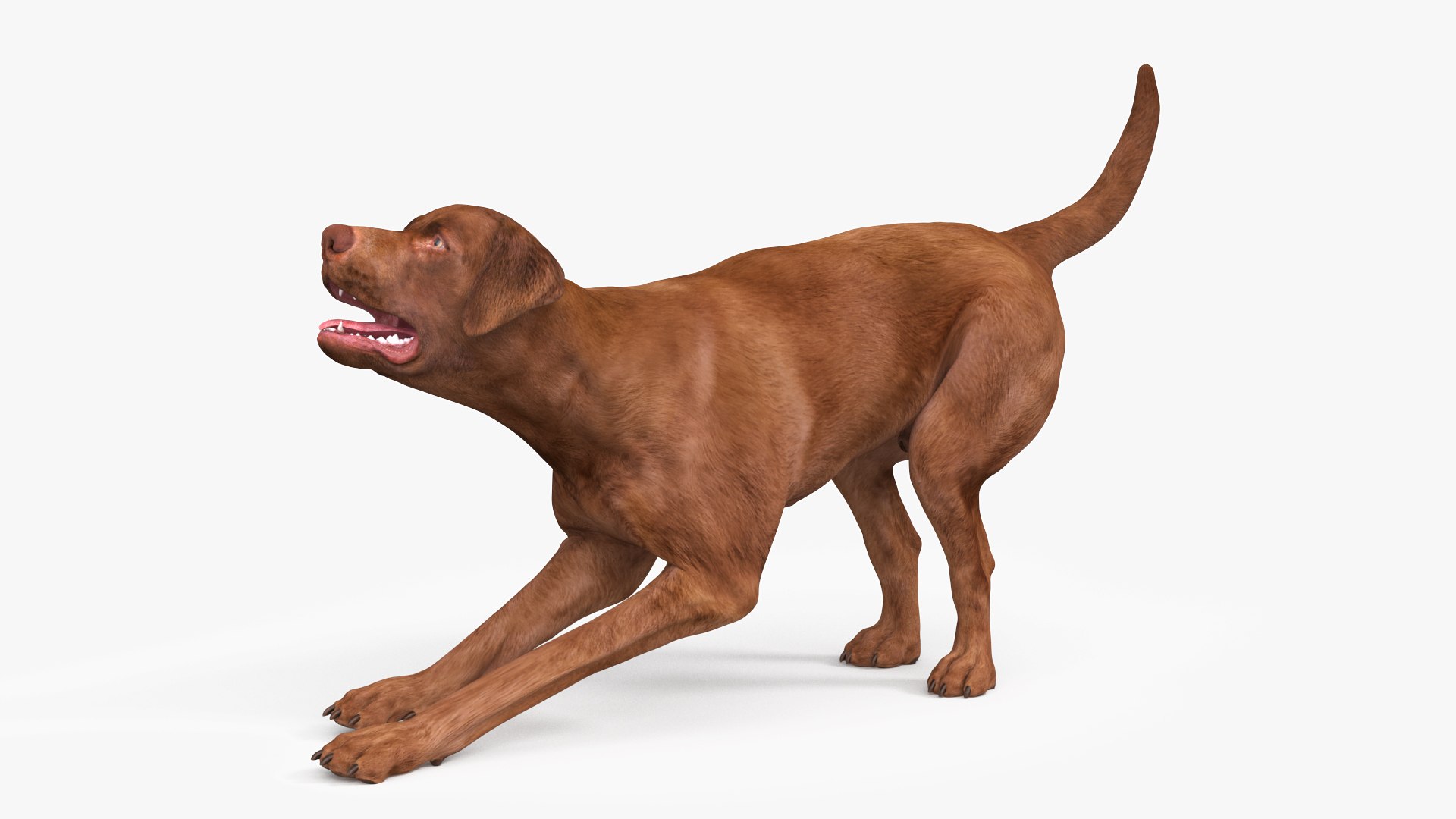 Man Playing with Dog 3D model https://p.turbosquid.com/ts-thumb/np/q9vcUS/XT/manplayingwithdogmb3dmodel018/jpg/1725559375/1920x1080/fit_q87/46fc1cb0df2ff61c6ed3d786f5156dad27ad77c9/manplayingwithdogmb3dmodel018.jpg