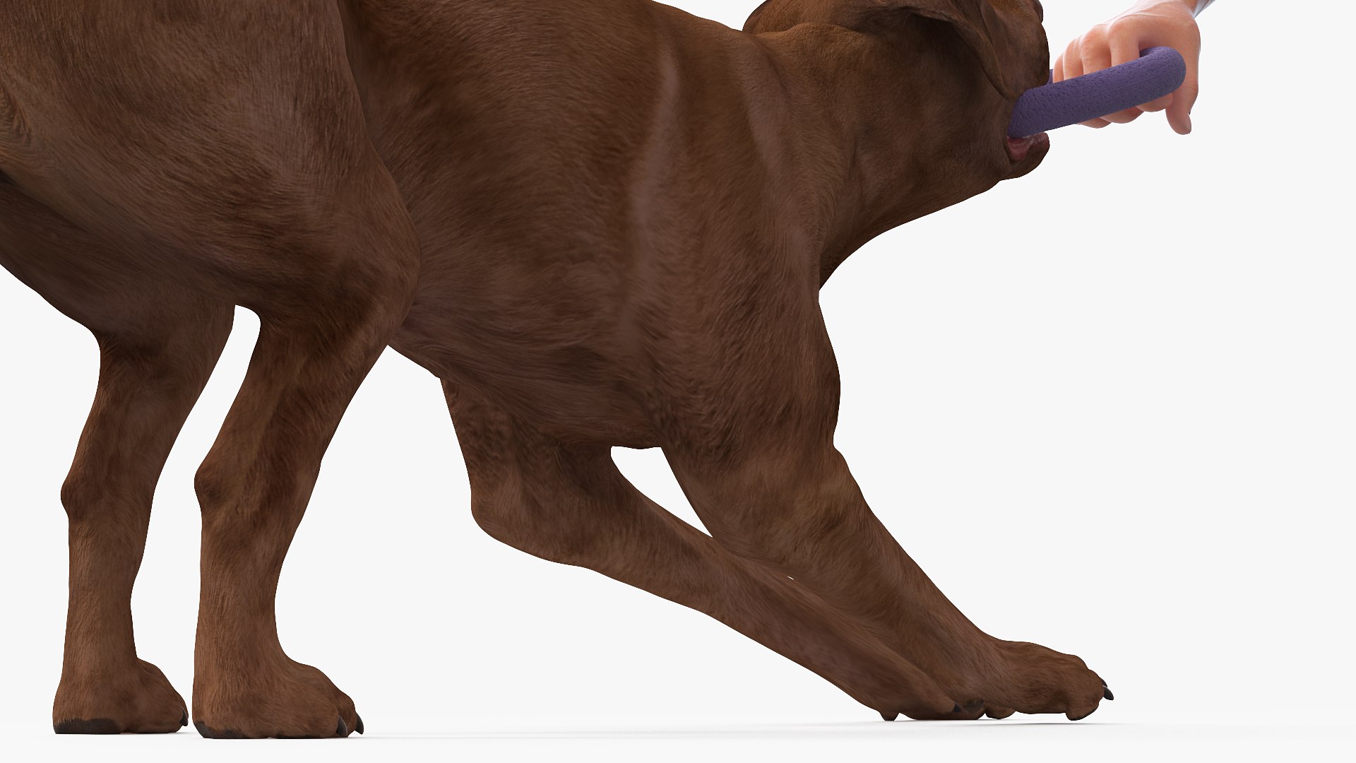 Man Playing with Dog 3D model https://p.turbosquid.com/ts-thumb/np/q9vcUS/YT/manplayingwithdogmb3dmodel014/jpg/1725559355/1920x1080/fit_q87/de534a90189b38d11065a15f984db4666ea3e30a/manplayingwithdogmb3dmodel014.jpg