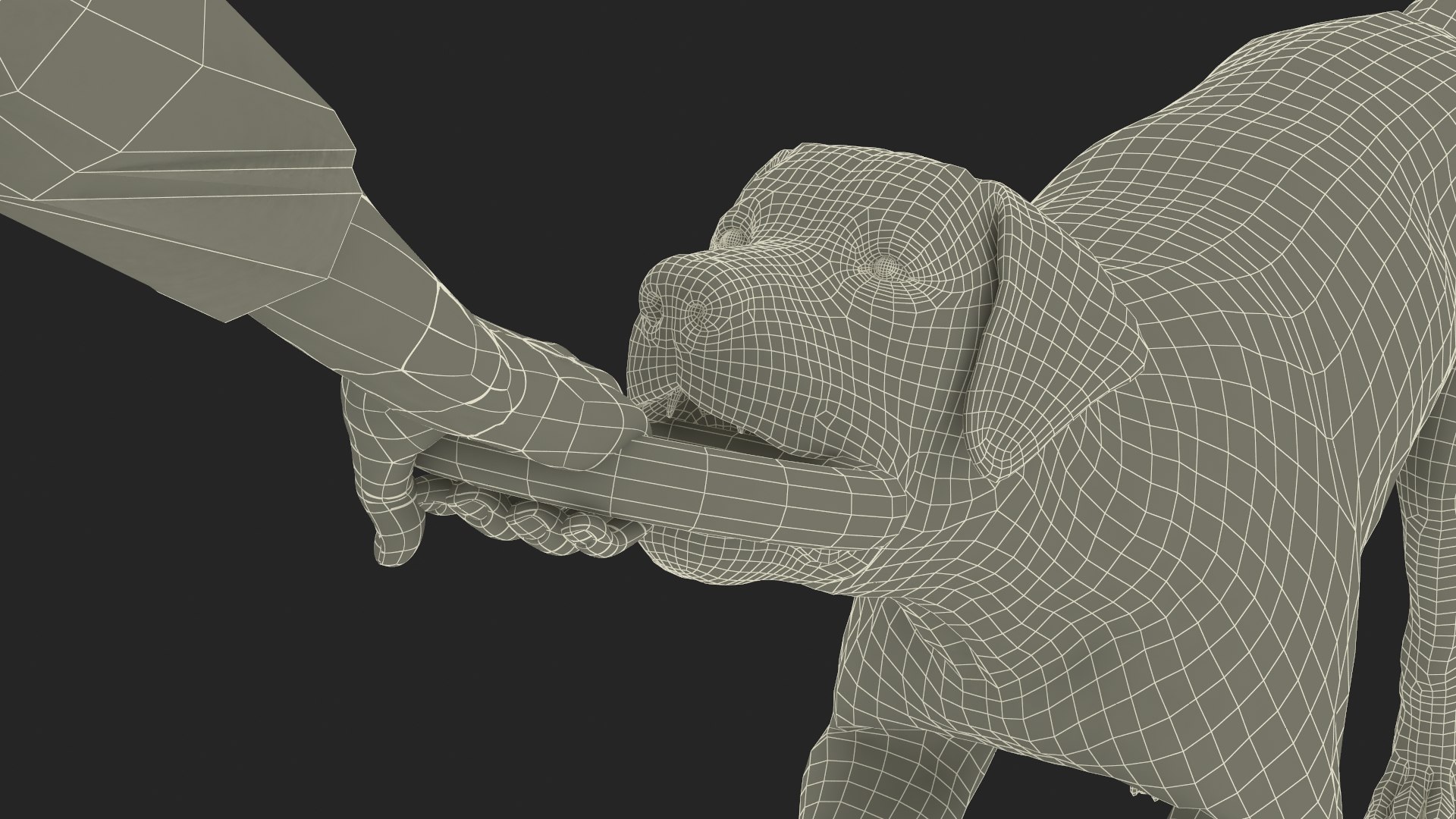 Man Playing with Dog 3D model https://p.turbosquid.com/ts-thumb/np/q9vcUS/gL/manplayingwithdogmb3dmodel030/jpg/1725559432/1920x1080/fit_q87/fe61c78e779da3f7f0e899de7ccc9a678b45b2c0/manplayingwithdogmb3dmodel030.jpg