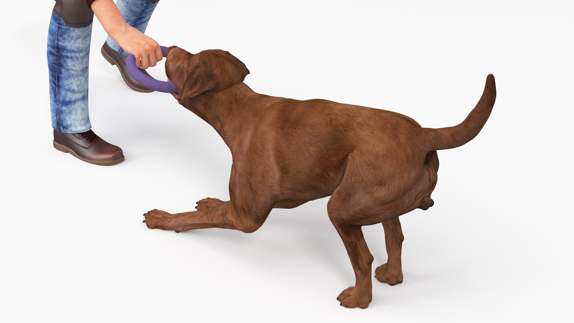 Man Playing with Dog 3D model https://p.turbosquid.com/ts-thumb/np/q9vcUS/hH/manplayingwithdogmb3dmodel011/jpg/1725559341/1920x1080/fit_q87/060e795681f46331f2ee7ff7ff5e67764ad75e21/manplayingwithdogmb3dmodel011.jpg