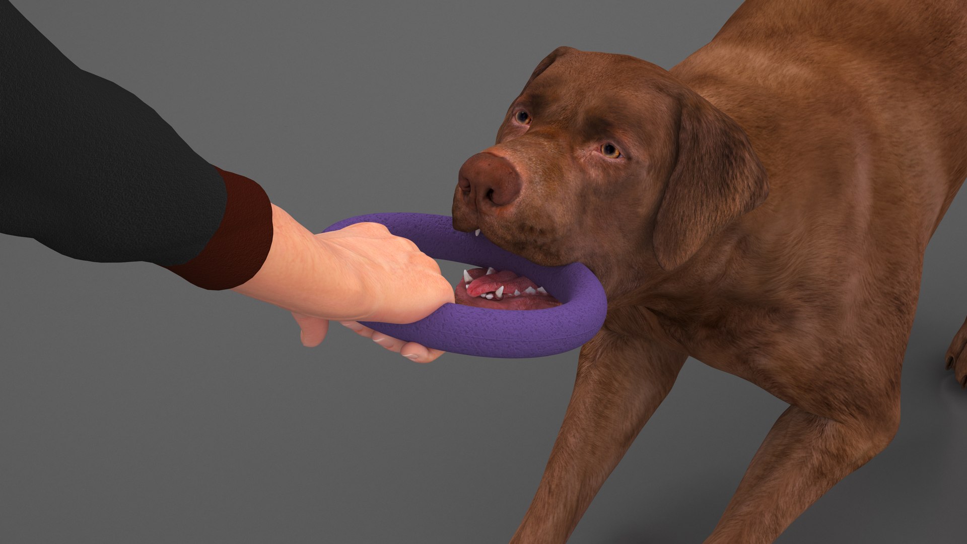 Man Playing with Dog 3D model https://p.turbosquid.com/ts-thumb/np/q9vcUS/sN/manplayingwithdogmb3dmodel006/jpg/1725559316/1920x1080/fit_q87/09ff911920595fdf99ffaee4231578e204bd6854/manplayingwithdogmb3dmodel006.jpg