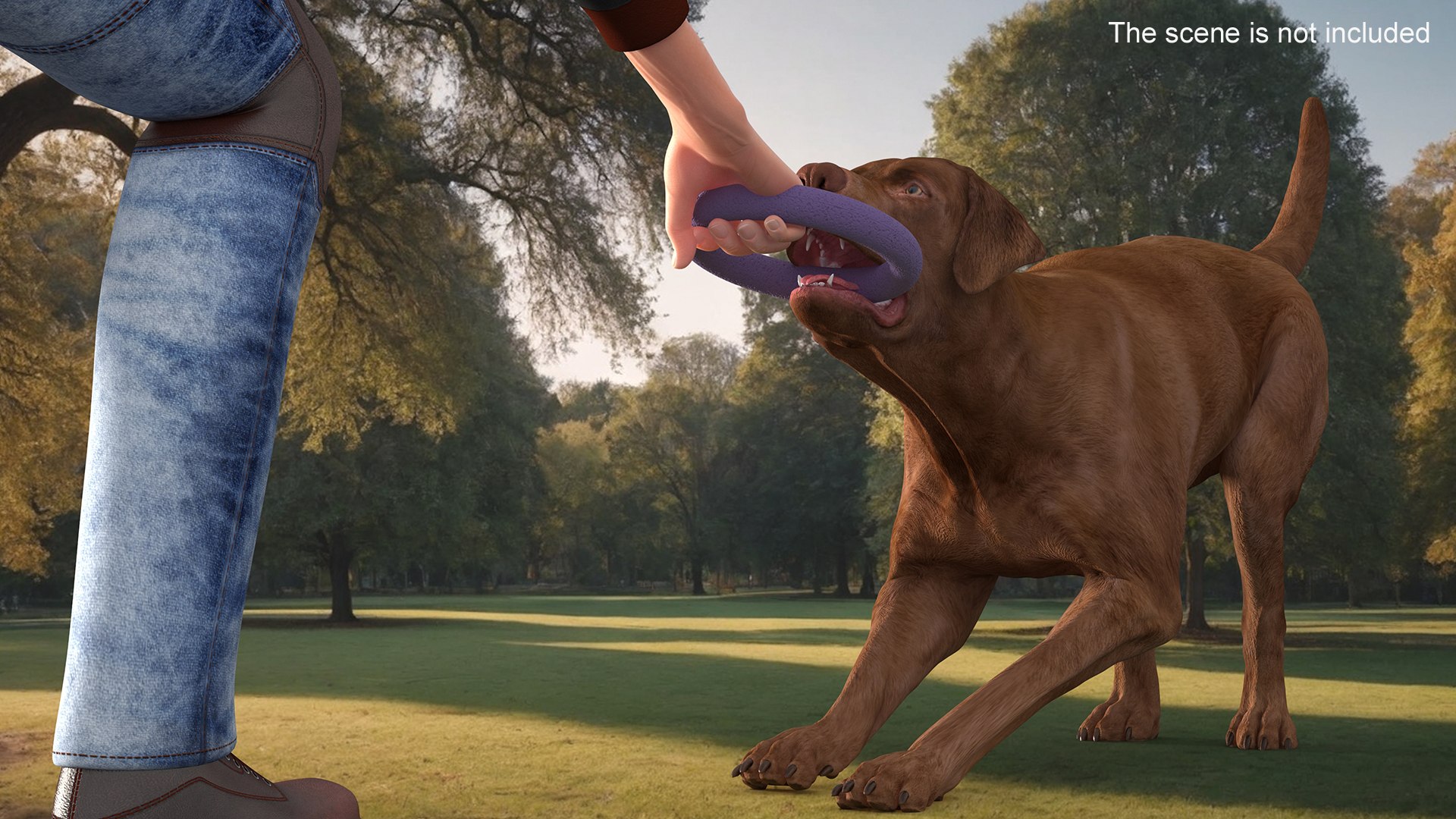 Man Playing with Dog 3D model https://p.turbosquid.com/ts-thumb/np/q9vcUS/wX/manplayingwithdogmb3dmodel003/jpg/1725559302/1920x1080/fit_q87/e23aee18835fec526072f67ba0e531710ef4bffa/manplayingwithdogmb3dmodel003.jpg