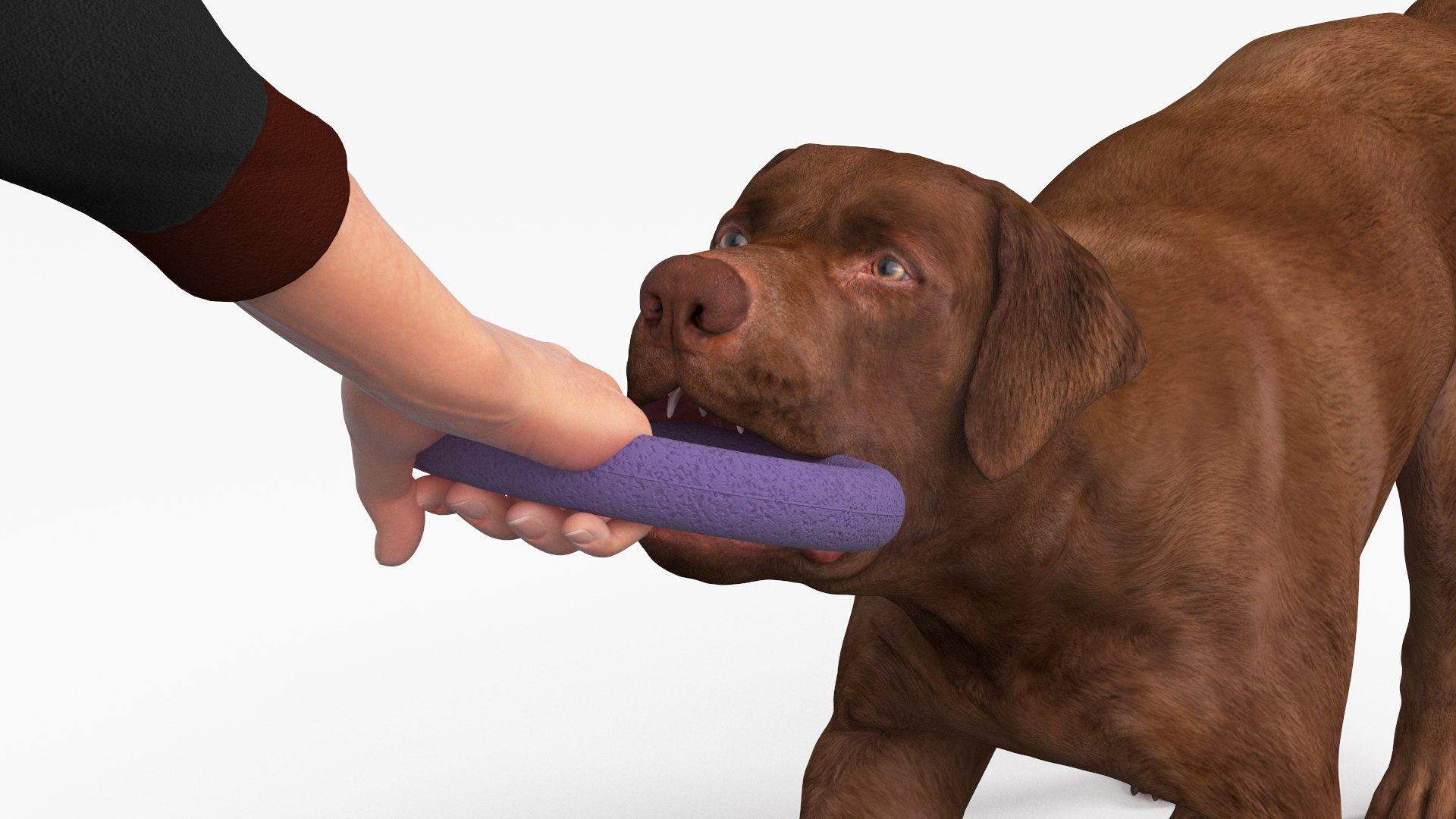Man Playing with Dog 3D model https://p.turbosquid.com/ts-thumb/np/q9vcUS/ym/manplayingwithdogmb3dmodel013/jpg/1725559351/1920x1080/fit_q87/078f8195630396a20da81596d549a1571c3b7e3a/manplayingwithdogmb3dmodel013.jpg