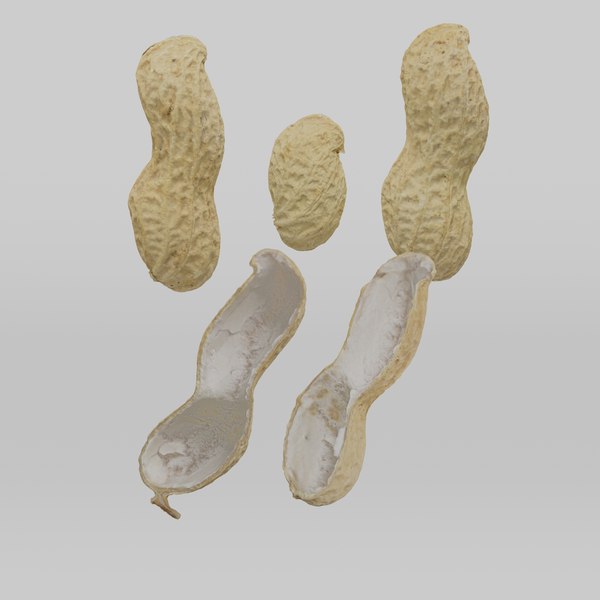 modelo 3d Maní - Cáscaras - TurboSquid 2261590