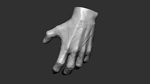 3D model male hand