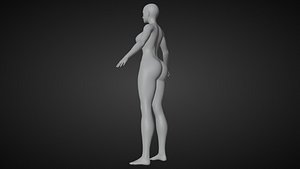 malla base femenino 3D model