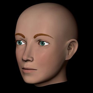 3d model human head male