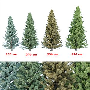 cypress trees collection 58 3D model
