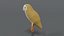 3D barn owl