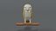 3D barn owl