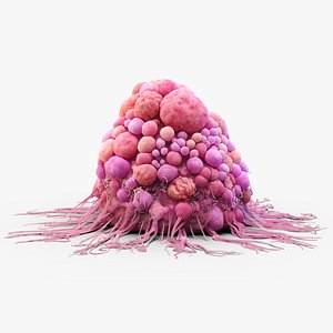 3D model Cancer Cell Apoptosis