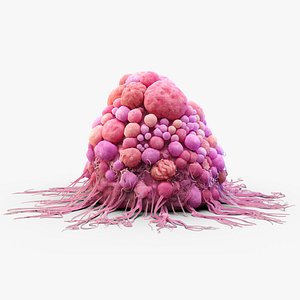 Cancer Cell Apoptosis