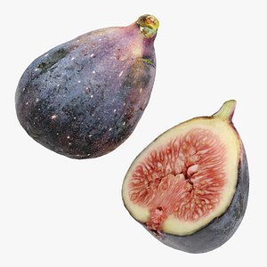 3D Fig fruit model