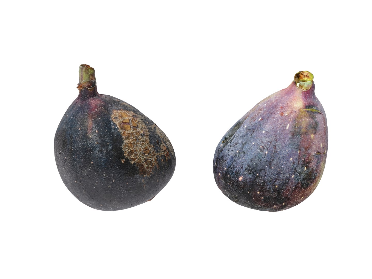 3D Fig fruit model https://p.turbosquid.com/ts-thumb/nq/JKmTtX/n0/preview_07/jpg/1688858362/1920x1080/fit_q87/f9c86dc5addafe78749865cf359c2037709e82be/preview_07.jpg