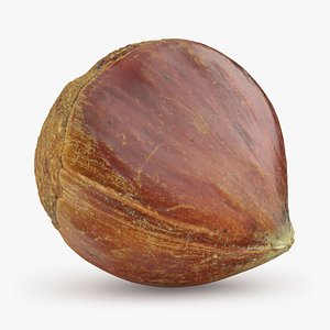Chestnut 02 model