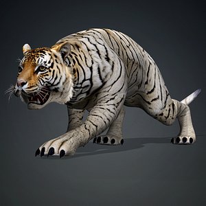 Tiger-A1 3D model