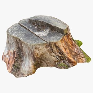 Stumps Photogrammetry Low poly 3D model