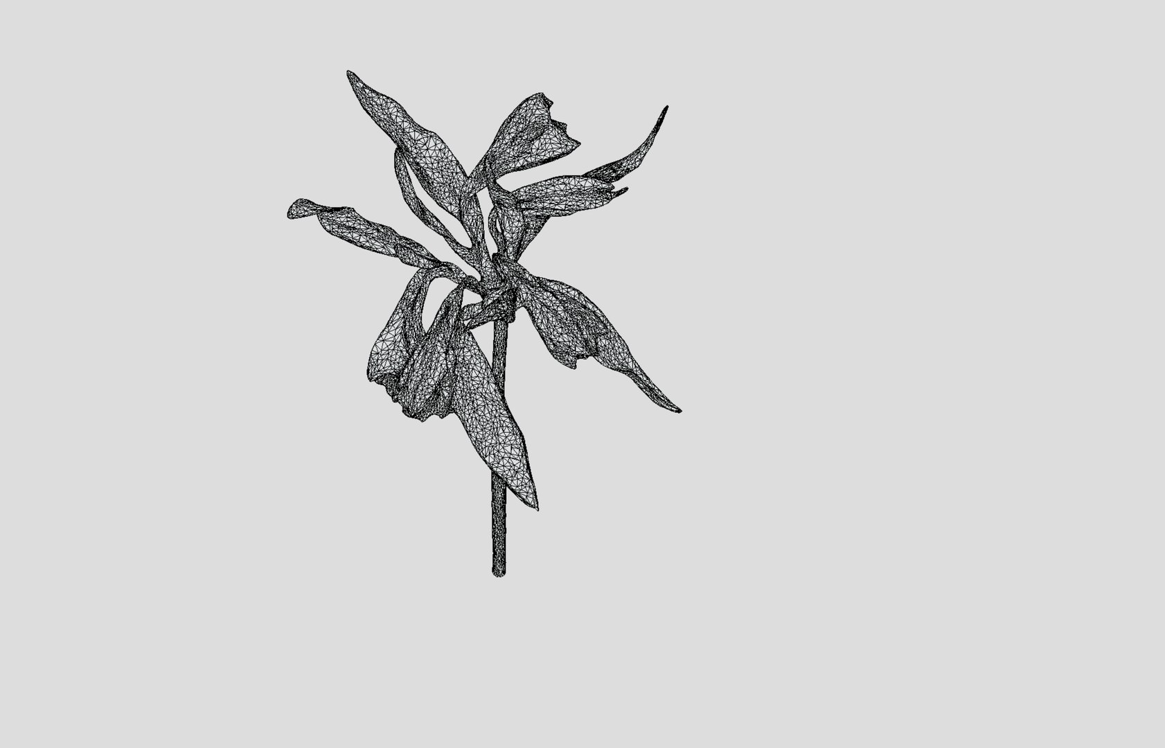 3D Alstromeria  Peruvian lily https://p.turbosquid.com/ts-thumb/nr/571T3G/IT/screenshotfrom2023032612.53.07/png/1680700179/1920x1080/fit_q87/308054d445040dab2fc8bcde1496b15ee566a207/screenshotfrom2023032612.53.07.jpg