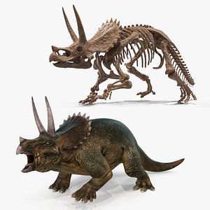 Triceratops with Skeleton Fossil Rigged Collection for Maya