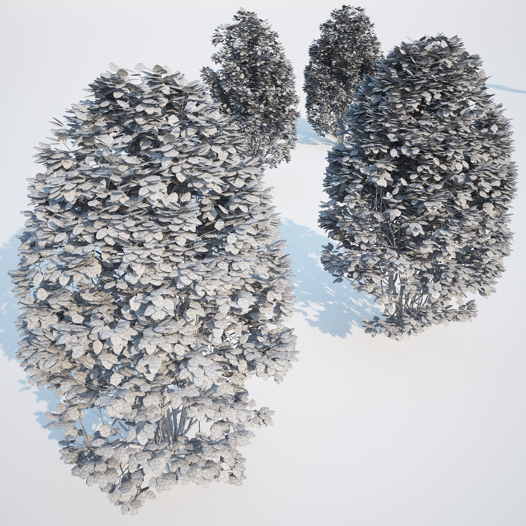 3d generic formed hedge model https://p.turbosquid.com/ts-thumb/nr/B5xCHs/2hZIzofN/gw_ts_formed_hedge_prev_fategg_02/jpg/1463732113/1920x1080/fit_q87/33bbf2a6834b893bc8b074ed240b6a9bc85c0804/gw_ts_formed_hedge_prev_fategg_02.jpg