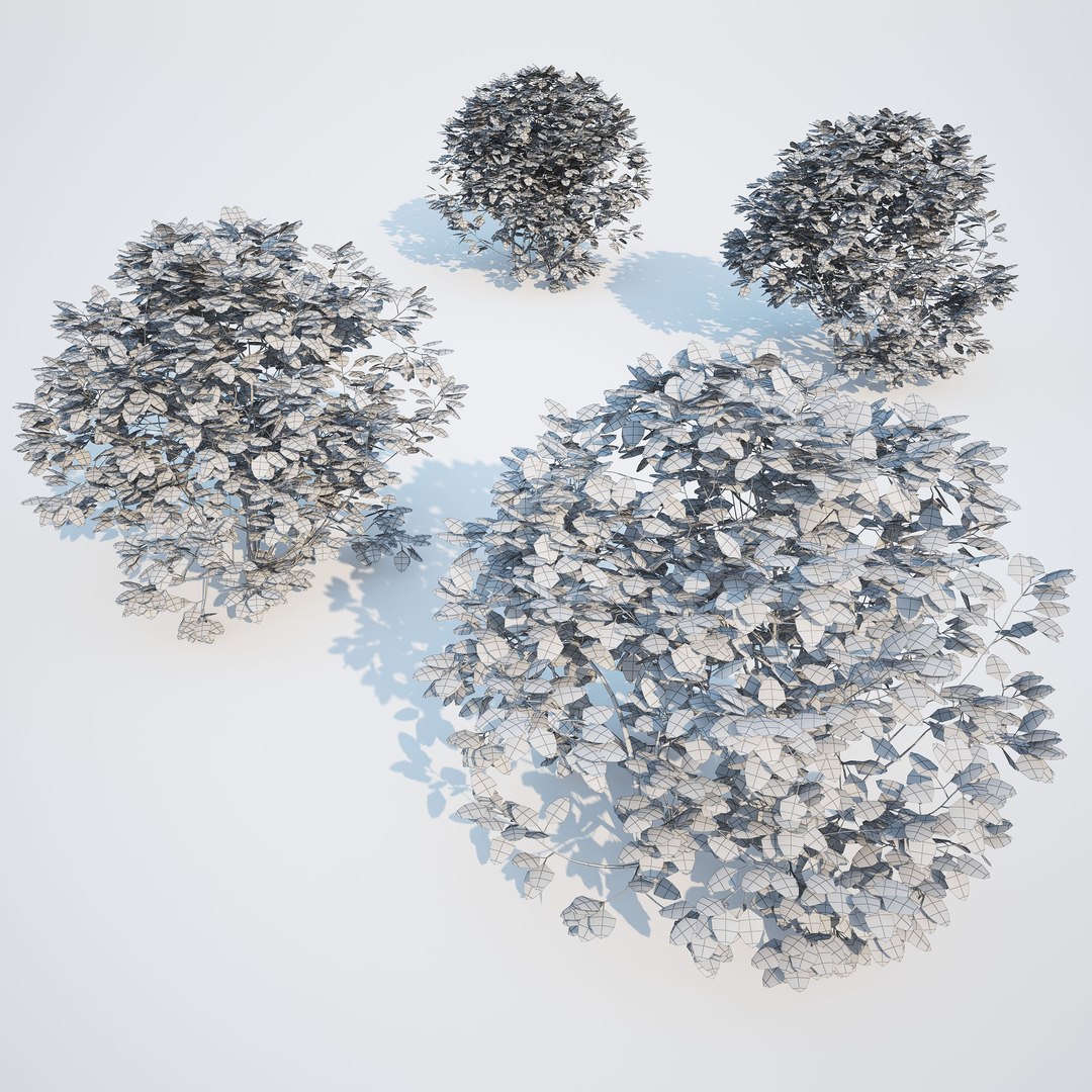 3d generic formed hedge model https://p.turbosquid.com/ts-thumb/nr/B5xCHs/6sJq2DVY/gw_ts_formed_hedge_prev_sphere_02/jpg/1463732113/1920x1080/fit_q87/6c7cbea73d5715b5093e386fc72c285693e24d5b/gw_ts_formed_hedge_prev_sphere_02.jpg
