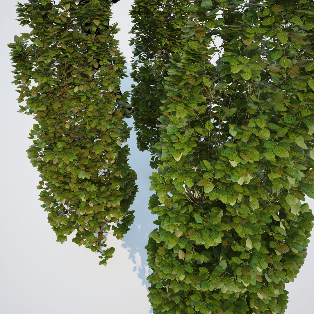 3d generic formed hedge model https://p.turbosquid.com/ts-thumb/nr/B5xCHs/AE1fhF8R/gw_ts_formed_hedge_prev_column_01/jpg/1463732113/1920x1080/fit_q87/f1cf70196613f9cbc7fc719fd934c642aa916a59/gw_ts_formed_hedge_prev_column_01.jpg