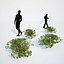 Formed Hedge Collection