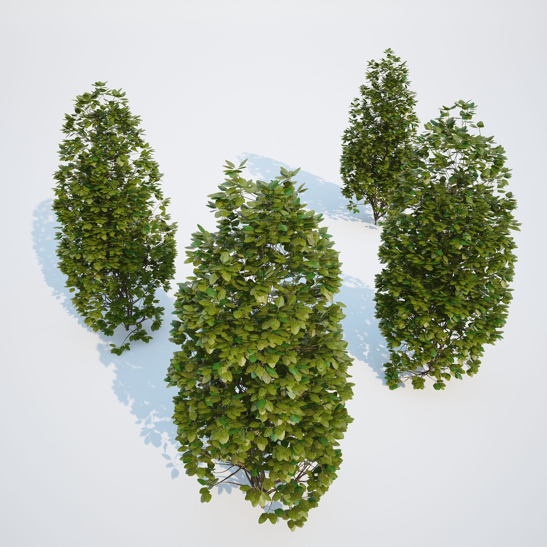 3d generic formed hedge model https://p.turbosquid.com/ts-thumb/nr/B5xCHs/QyUOfBuk/gw_ts_formed_hedge_prev_smallegg_01/jpg/1463732113/1920x1080/fit_q87/6f8630eb6f698fe65a6d8370ca0d546611f9f719/gw_ts_formed_hedge_prev_smallegg_01.jpg