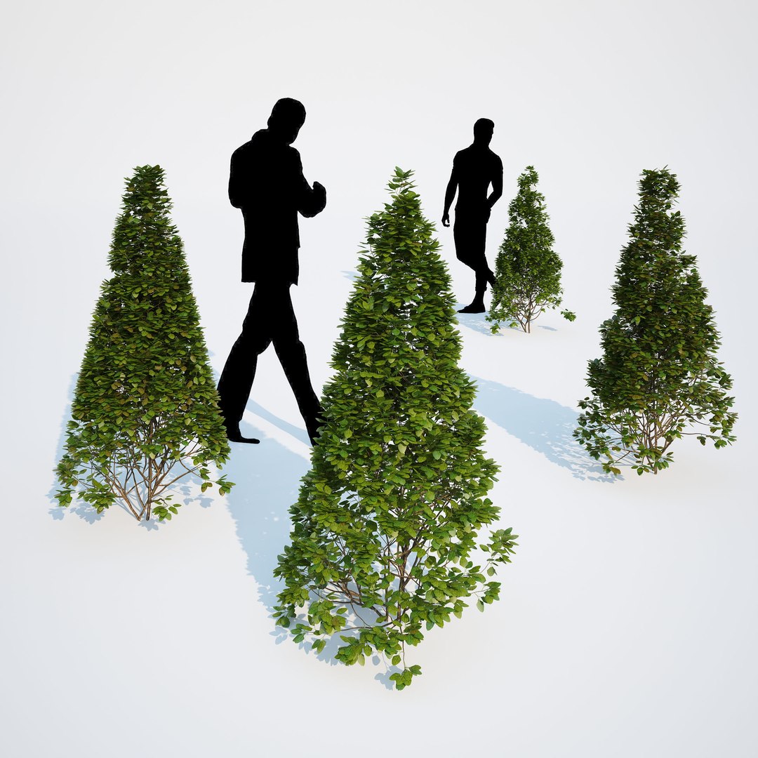 3d generic formed hedge model https://p.turbosquid.com/ts-thumb/nr/B5xCHs/RdpHEONP/gw_ts_formed_hedge_prev_cone_00/jpg/1463732113/1920x1080/fit_q87/c906d24d2642861c53a7c1205da2943a6fcca692/gw_ts_formed_hedge_prev_cone_00.jpg