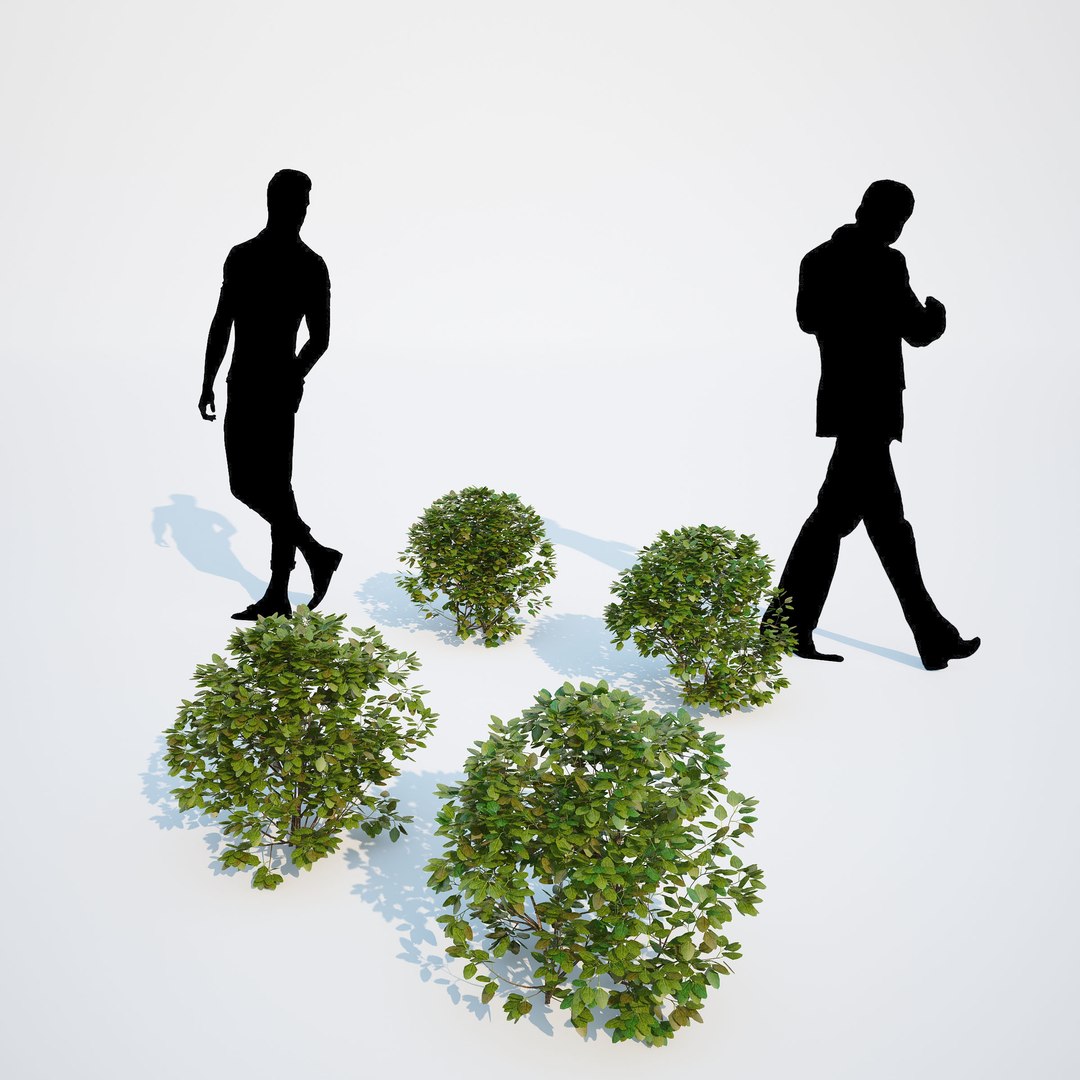 3d generic formed hedge model https://p.turbosquid.com/ts-thumb/nr/B5xCHs/UKxEitiz/gw_ts_formed_hedge_prev_sphere_01/jpg/1463732113/1920x1080/fit_q87/c44f7b59f2191b98e34f7f9f0bde4614aed1ed84/gw_ts_formed_hedge_prev_sphere_01.jpg