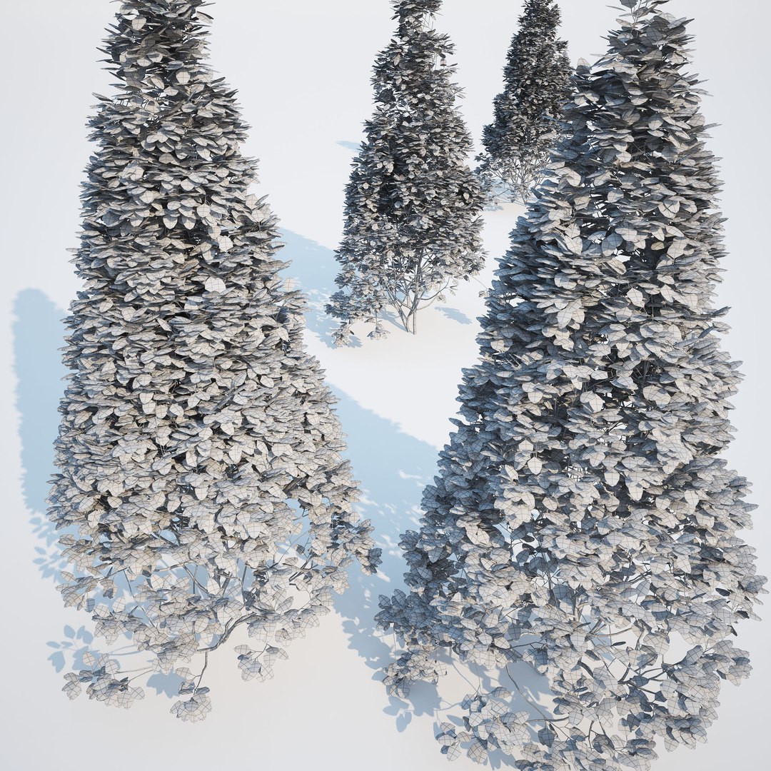 3d generic formed hedge model https://p.turbosquid.com/ts-thumb/nr/B5xCHs/k9cFX5Gj/gw_ts_formed_hedge_prev_cone_02/jpg/1463732113/1920x1080/fit_q87/dacfa52c3357d186d84162b4ac81df0f04459d5e/gw_ts_formed_hedge_prev_cone_02.jpg