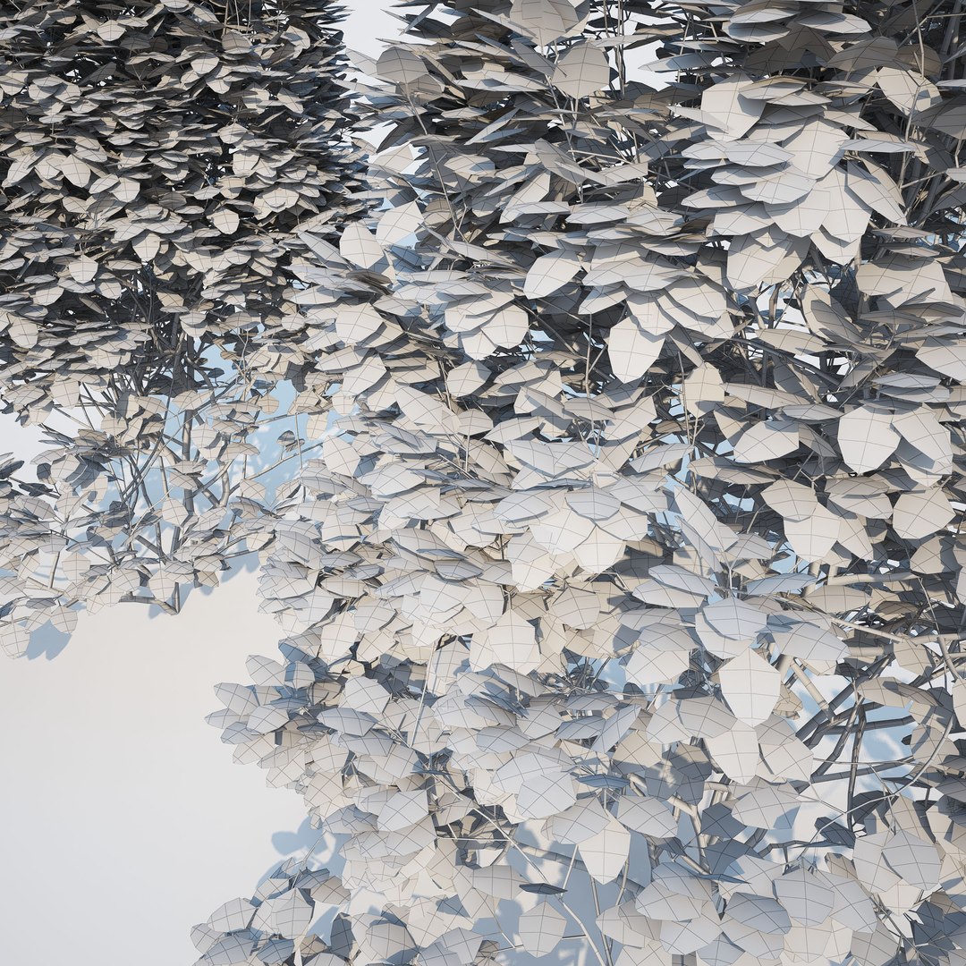3d generic formed hedge model https://p.turbosquid.com/ts-thumb/nr/B5xCHs/nLh42FFv/gw_ts_formed_hedge_prev_cone_03/jpg/1463732113/1920x1080/fit_q87/d18e6ef880a8713609144e4c6a1ecfba7a1c3bec/gw_ts_formed_hedge_prev_cone_03.jpg