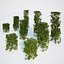 Formed Hedge Collection