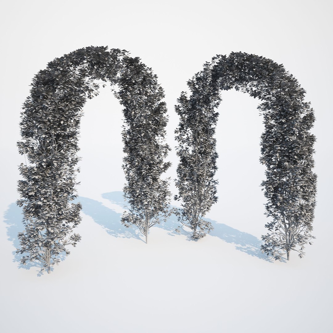 3d generic formed hedge model https://p.turbosquid.com/ts-thumb/nr/B5xCHs/pLsjlUsg/gw_ts_formed_hedge_prev_arcgate_02/jpg/1463732113/1920x1080/fit_q87/d5979ed2b4a23c193284155e10090b0ff8257da9/gw_ts_formed_hedge_prev_arcgate_02.jpg