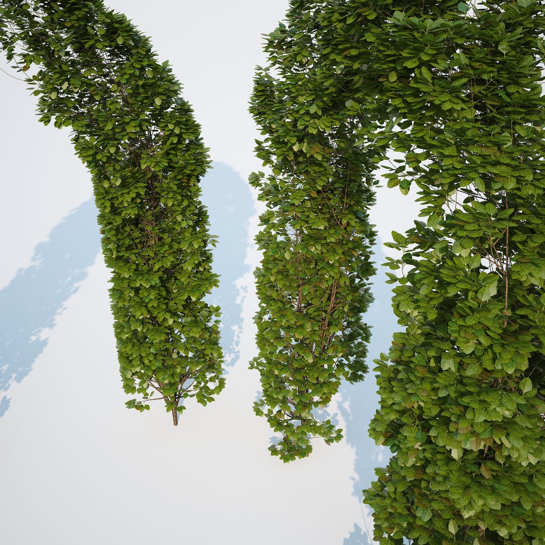 3d generic formed hedge model https://p.turbosquid.com/ts-thumb/nr/B5xCHs/pRYKPrr3/gw_ts_formed_hedge_prev_arcgate_01/jpg/1463732113/1920x1080/fit_q87/e506543953aac64ce8299e7df7af6116302f4bdb/gw_ts_formed_hedge_prev_arcgate_01.jpg