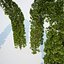 Formed Hedge Collection