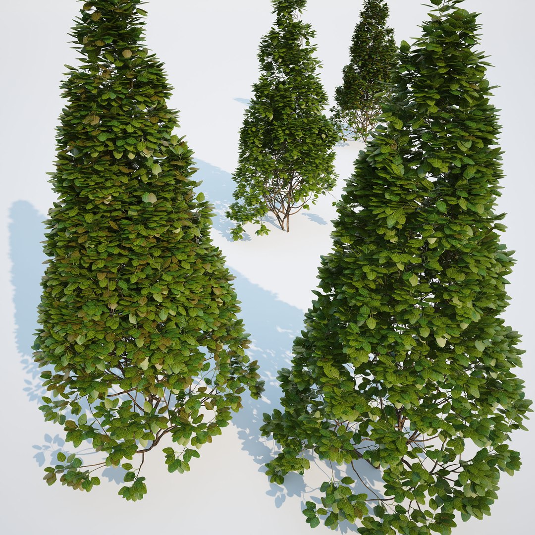 3d generic formed hedge model https://p.turbosquid.com/ts-thumb/nr/B5xCHs/qlVpo5JN/gw_ts_formed_hedge_prev_cone_01/jpg/1463732113/1920x1080/fit_q87/d8e94720041c7e596cd8570ee4827e321b643330/gw_ts_formed_hedge_prev_cone_01.jpg