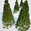 Formed Hedge Collection