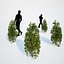 Formed Hedge Collection