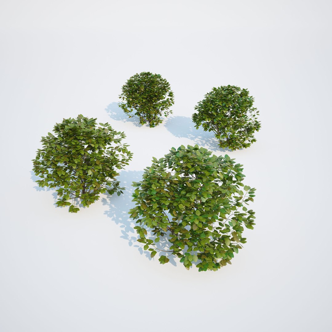 3d generic formed hedge model https://p.turbosquid.com/ts-thumb/nr/B5xCHs/zUHw7MKV/gw_ts_formed_hedge_prev_sphere_00/jpg/1463732113/1920x1080/fit_q87/25b03154ccba396adaf4bb22f6e7668665624544/gw_ts_formed_hedge_prev_sphere_00.jpg